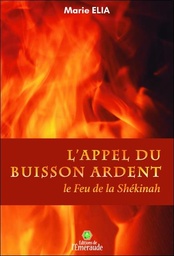 [9782955862599] L'Appel du Buisson ardent - Le Feu de la Shékinah
